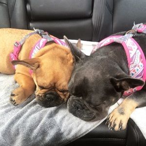 Meet your Posher, Lynn